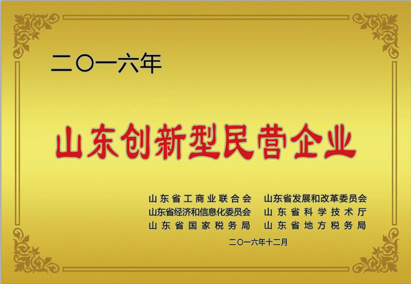 山東(dong)創新型民營(yíng)企業.jpg